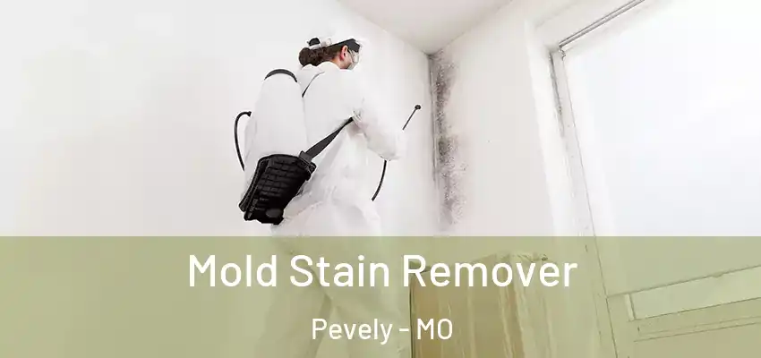  Mold Stain Remover Pevely - MO