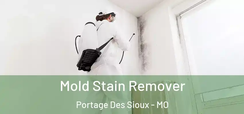  Mold Stain Remover Portage Des Sioux - MO
