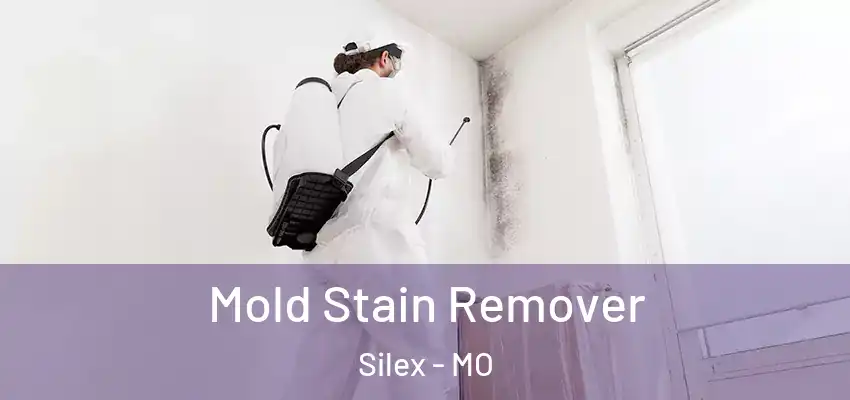  Mold Stain Remover Silex - MO