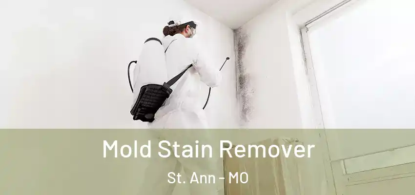  Mold Stain Remover St. Ann - MO