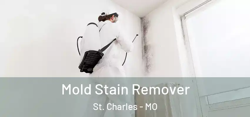  Mold Stain Remover St. Charles - MO