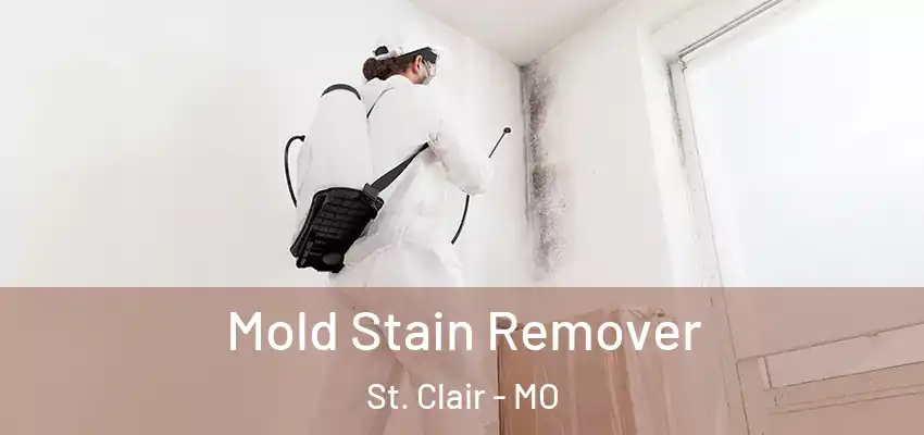  Mold Stain Remover St. Clair - MO