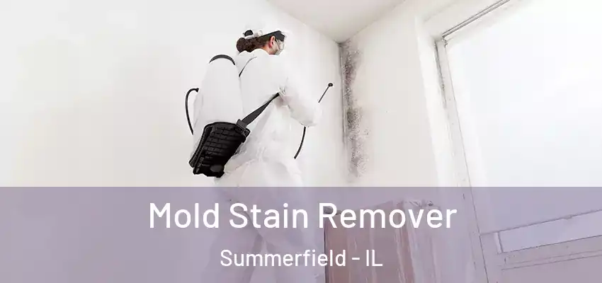  Mold Stain Remover Summerfield - IL
