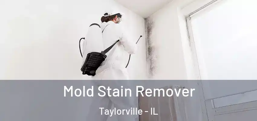  Mold Stain Remover Taylorville - IL