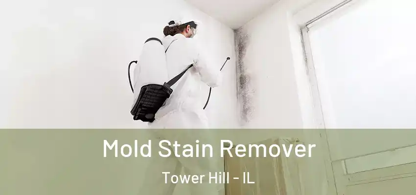  Mold Stain Remover Tower Hill - IL