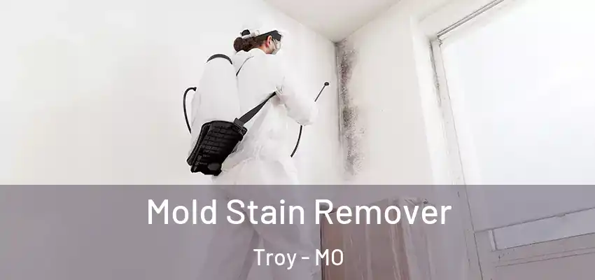 Mold Stain Remover Troy - MO