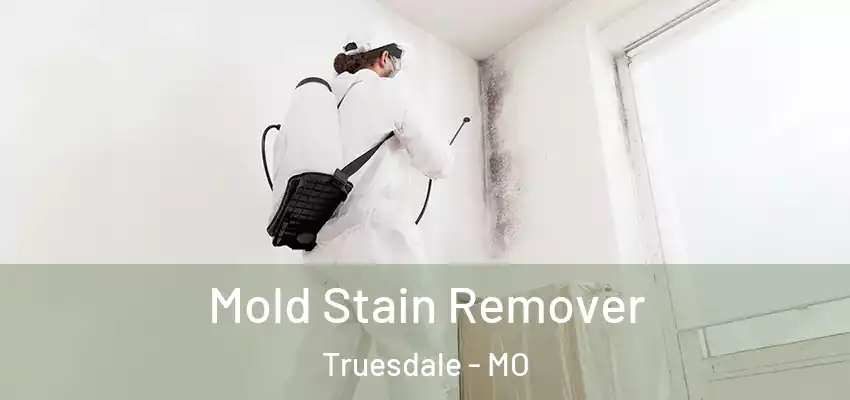  Mold Stain Remover Truesdale - MO