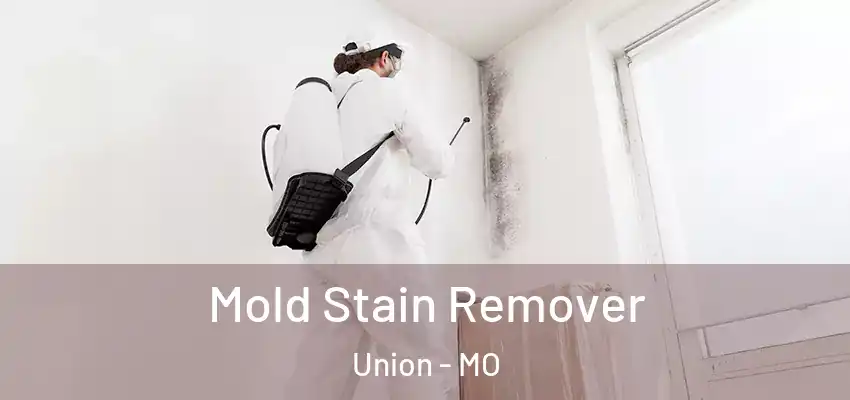 Mold Stain Remover Union - MO