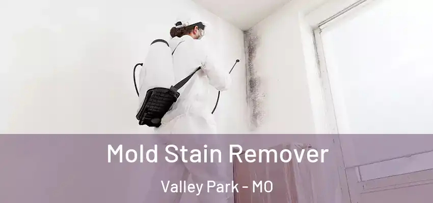  Mold Stain Remover Valley Park - MO