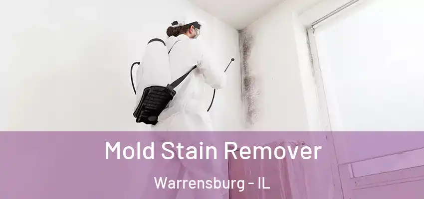  Mold Stain Remover Warrensburg - IL