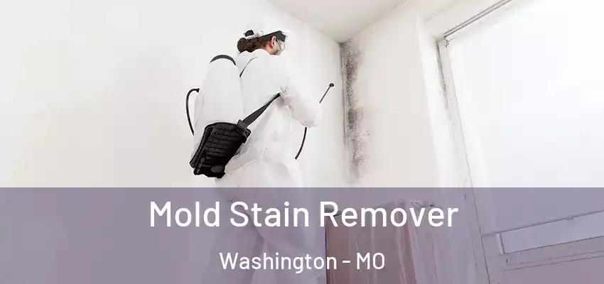  Mold Stain Remover Washington - MO