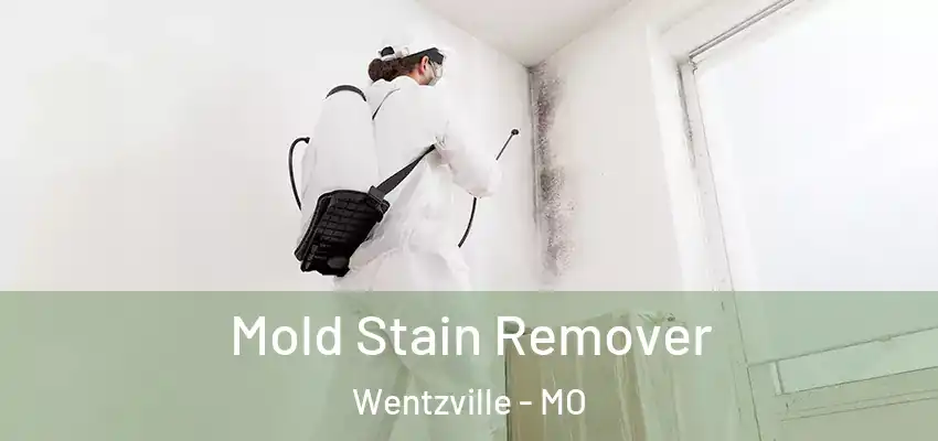  Mold Stain Remover Wentzville - MO