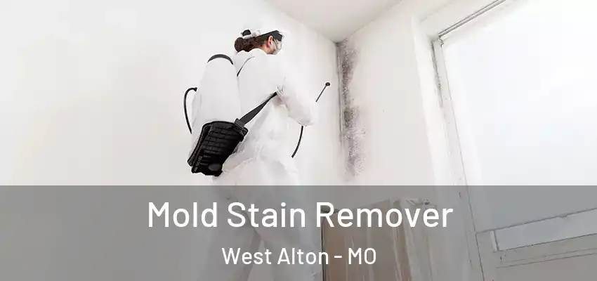  Mold Stain Remover West Alton - MO
