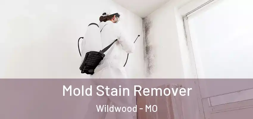  Mold Stain Remover Wildwood - MO