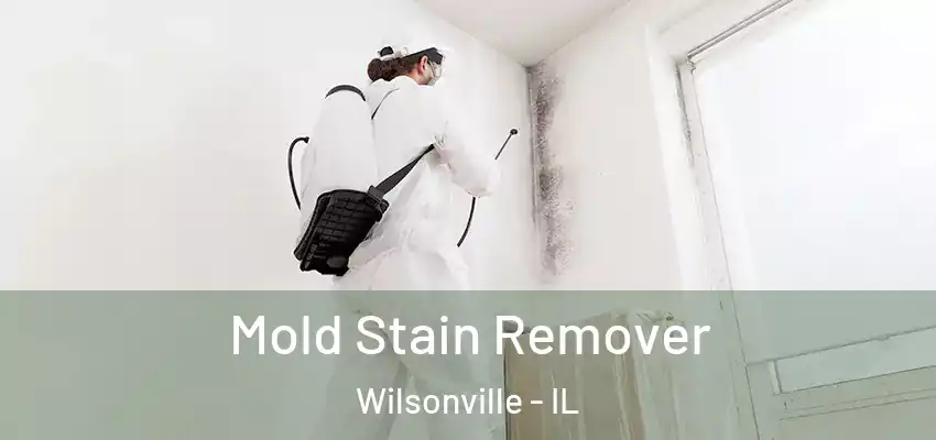  Mold Stain Remover Wilsonville - IL