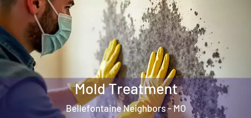  Mold Treatment Bellefontaine Neighbors - MO