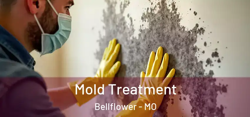  Mold Treatment Bellflower - MO