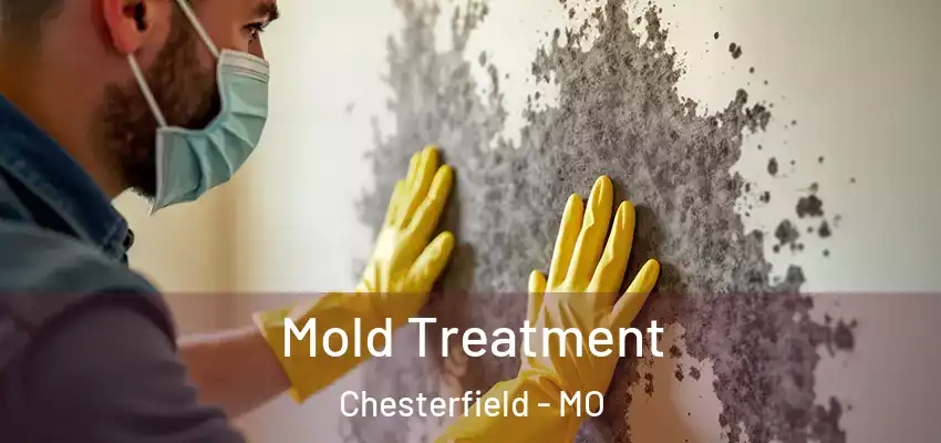  Mold Treatment Chesterfield - MO