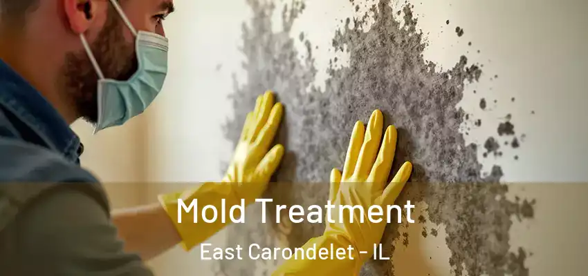  Mold Treatment East Carondelet - IL