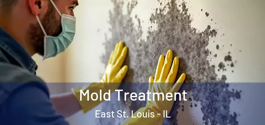  Mold Treatment East St. Louis - IL