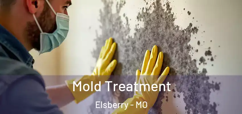  Mold Treatment Elsberry - MO
