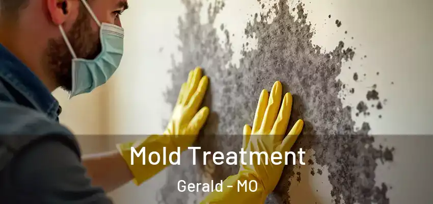  Mold Treatment Gerald - MO