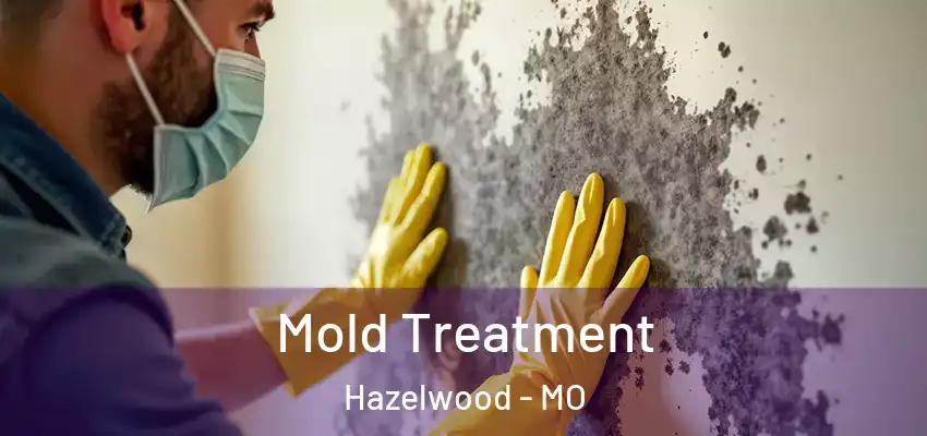  Mold Treatment Hazelwood - MO