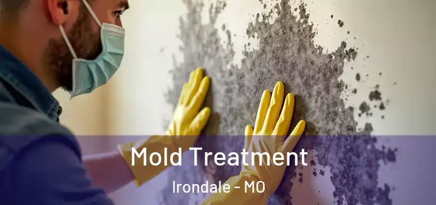  Mold Treatment Irondale - MO