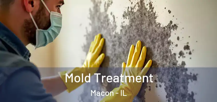  Mold Treatment Macon - IL
