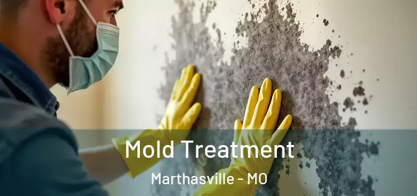  Mold Treatment Marthasville - MO