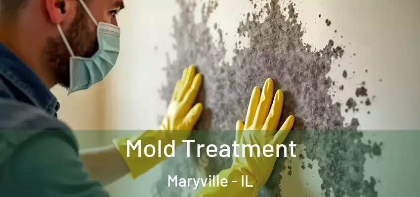  Mold Treatment Maryville - IL