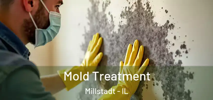  Mold Treatment Millstadt - IL