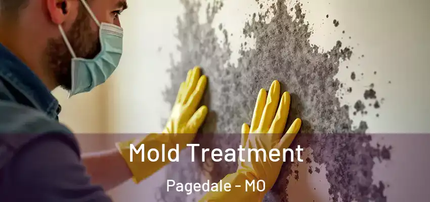 Mold Treatment Pagedale - MO