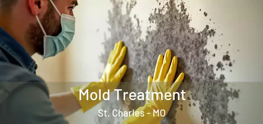  Mold Treatment St. Charles - MO