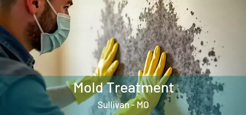 Mold Treatment Sullivan - MO