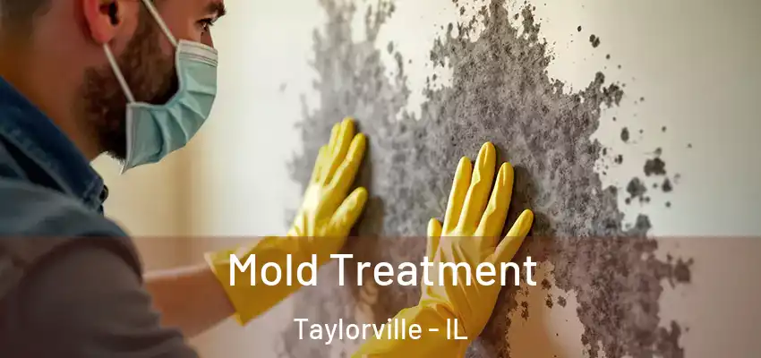  Mold Treatment Taylorville - IL
