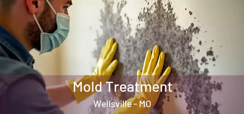  Mold Treatment Wellsville - MO