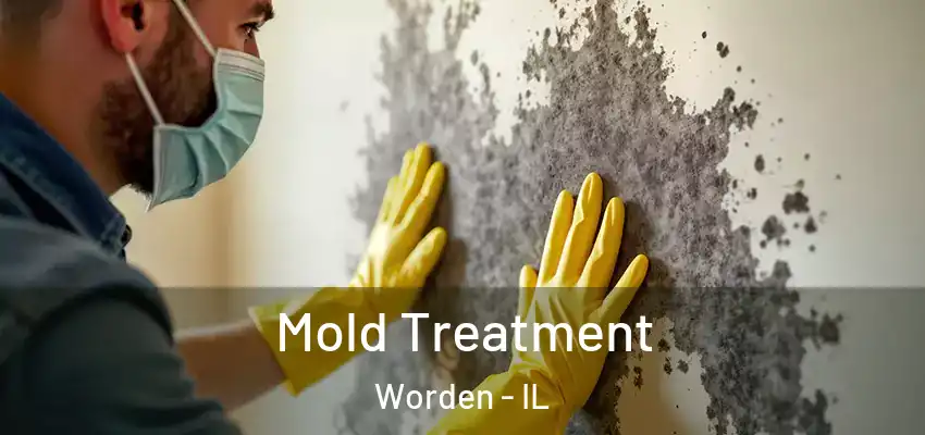  Mold Treatment Worden - IL