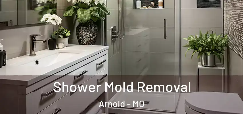  Shower Mold Removal Arnold - MO