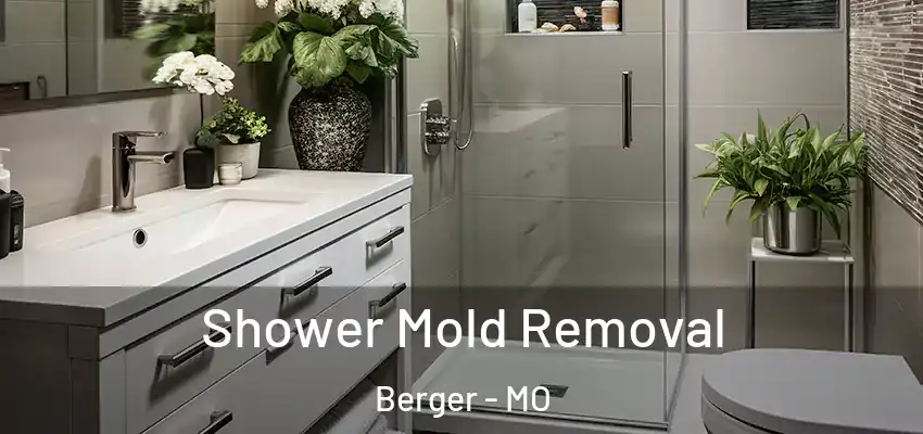  Shower Mold Removal Berger - MO