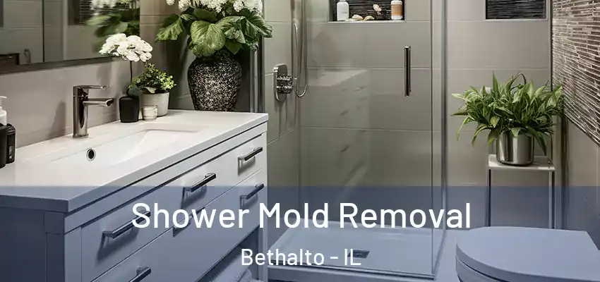  Shower Mold Removal Bethalto - IL