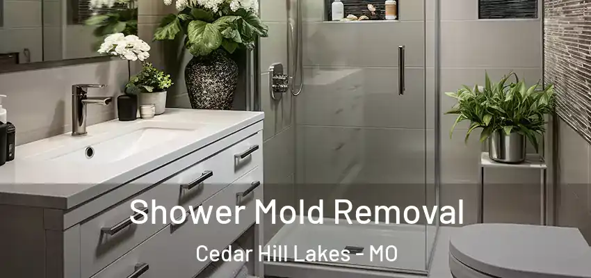  Shower Mold Removal Cedar Hill Lakes - MO