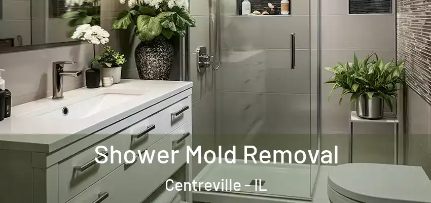  Shower Mold Removal Centreville - IL