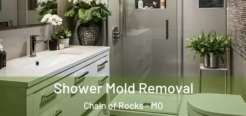  Shower Mold Removal Chain of Rocks - MO