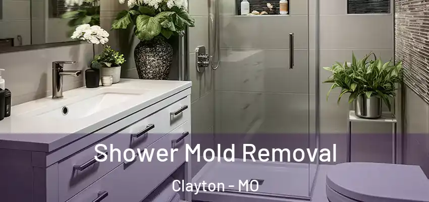  Shower Mold Removal Clayton - MO