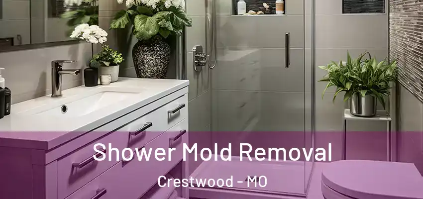  Shower Mold Removal Crestwood - MO