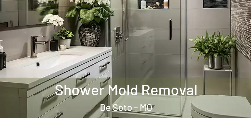  Shower Mold Removal De Soto - MO