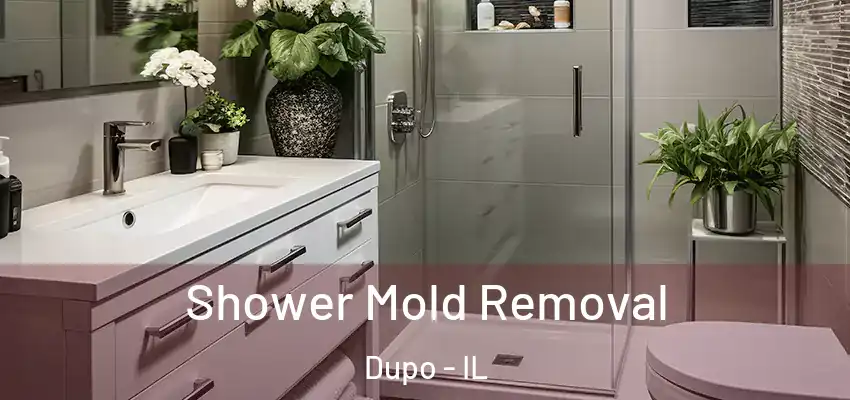  Shower Mold Removal Dupo - IL