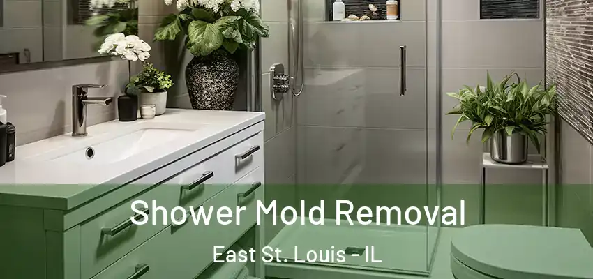  Shower Mold Removal East St. Louis - IL