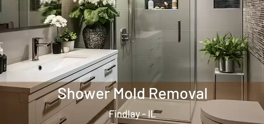  Shower Mold Removal Findlay - IL